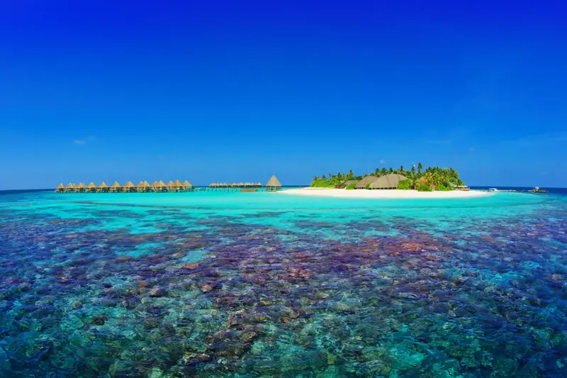 Angaga Island Resort and Spa — 鸟瞰 (第8张,共8张)