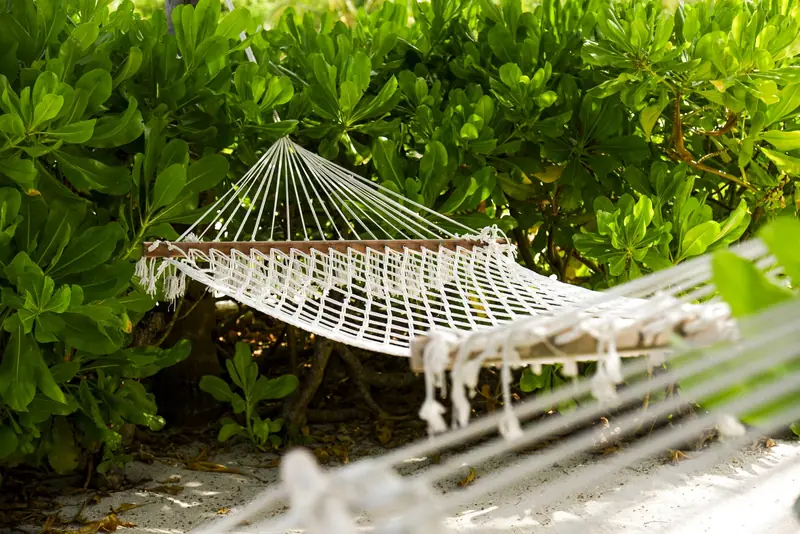 Constance Moofushi Resort — beach (photo 2 of 8)