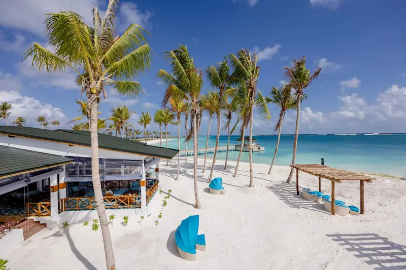 Joy Island — Restaurant (Foto 5 von 8)