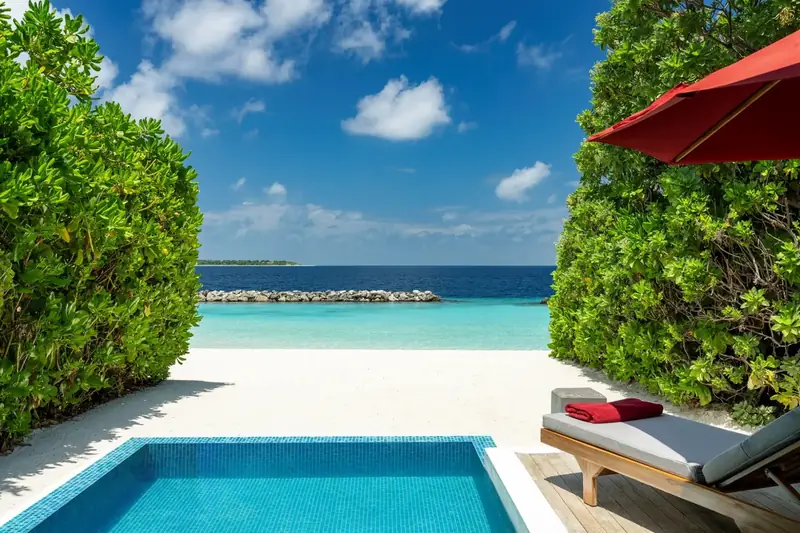 Niva Dhigali Maldives — pool (photo 2 of 8)