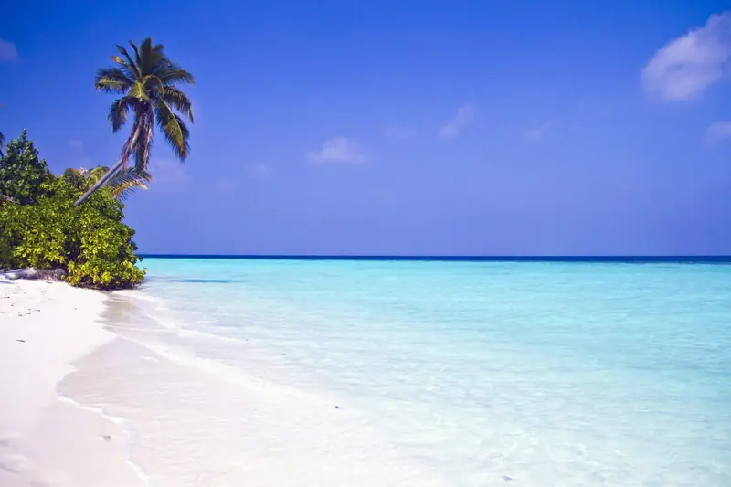 Safari Island Resort & Spa — Strand (Foto 4 von 8)