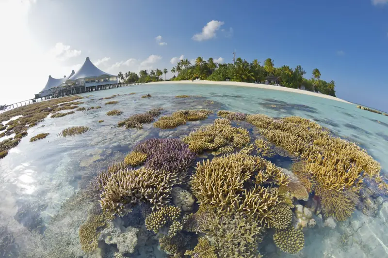 Safari Island Resort & Spa — Hausriff (Foto 6 von 8)