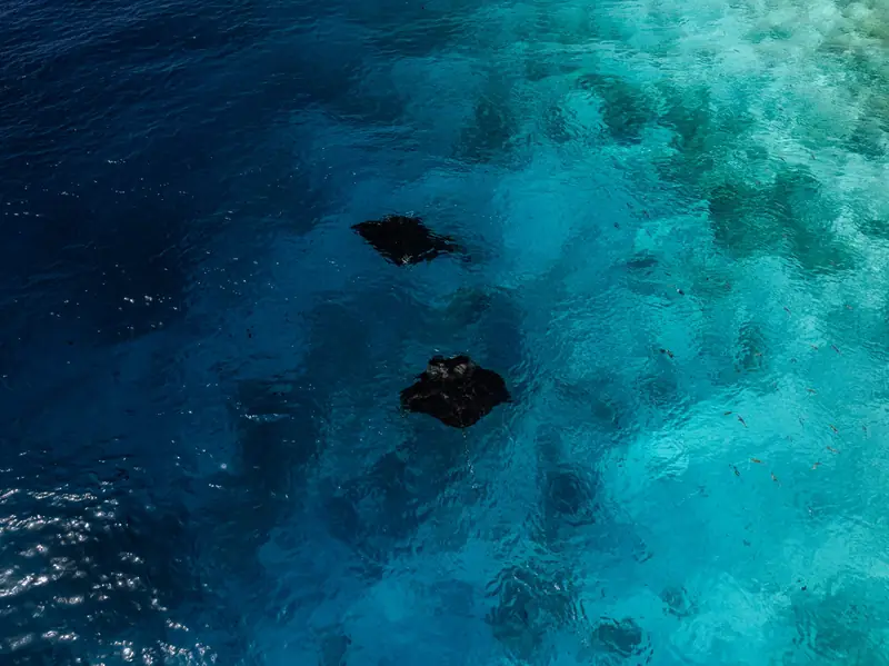Sun Siyam Olhuveli Maldives — Hausriff (Foto 7 von 8)