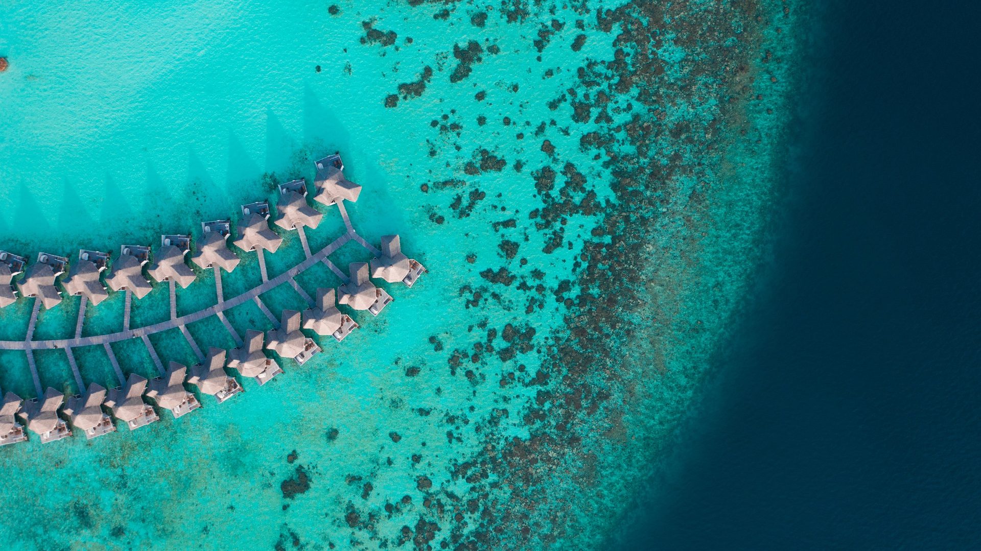 Drift Thelu Veliga Retreat — Resortfoto